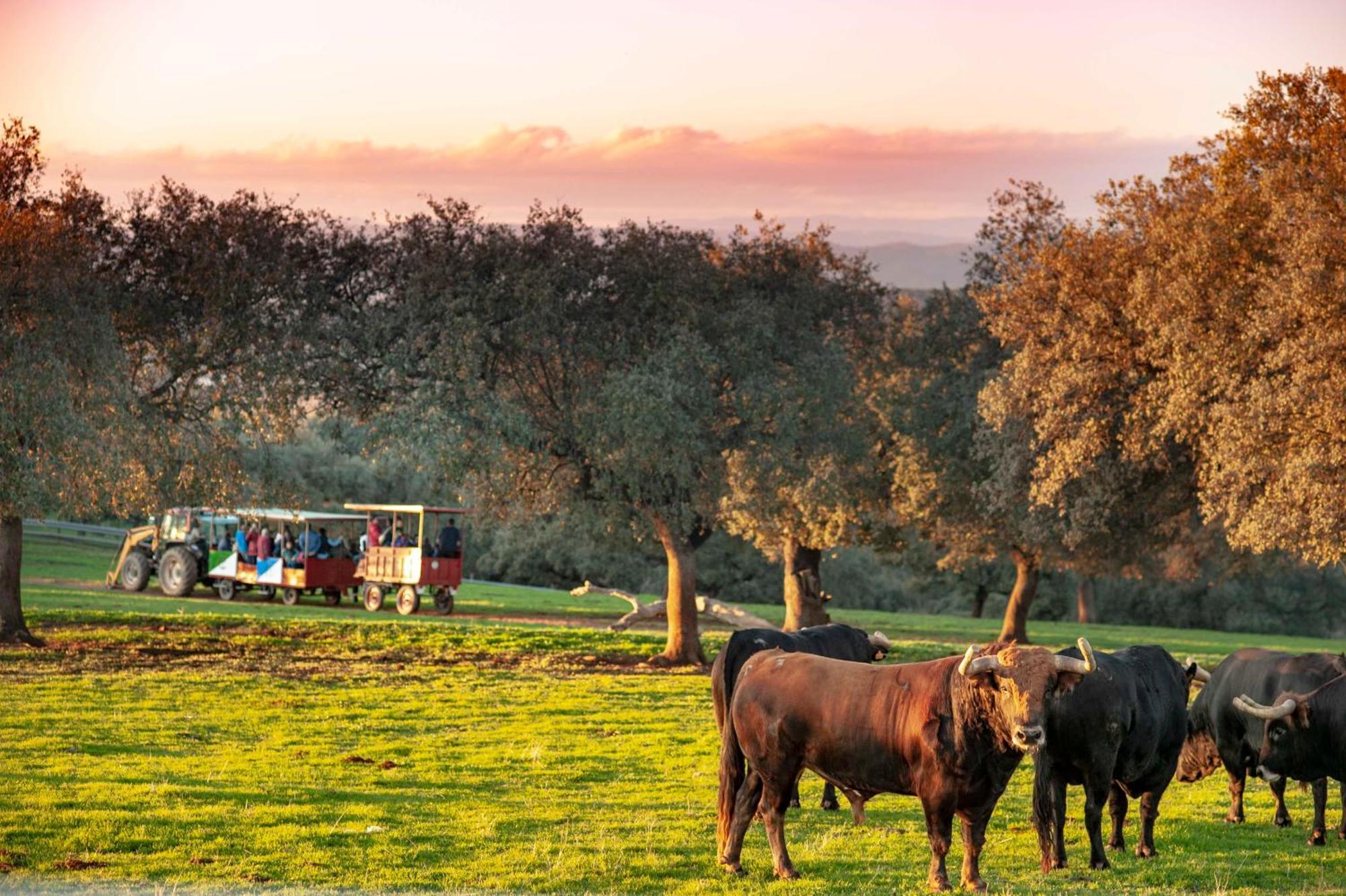 Finca El Cotillo Λινάρες Εξωτερικό φωτογραφία