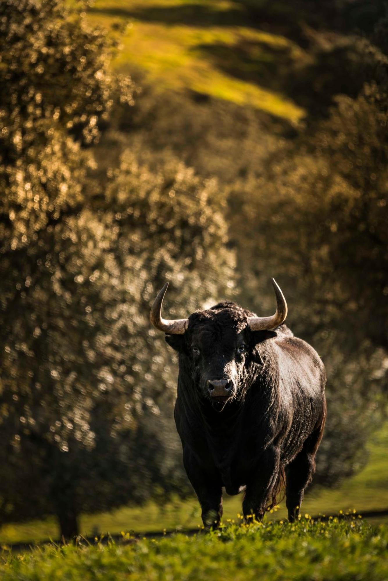 Finca El Cotillo Λινάρες Εξωτερικό φωτογραφία