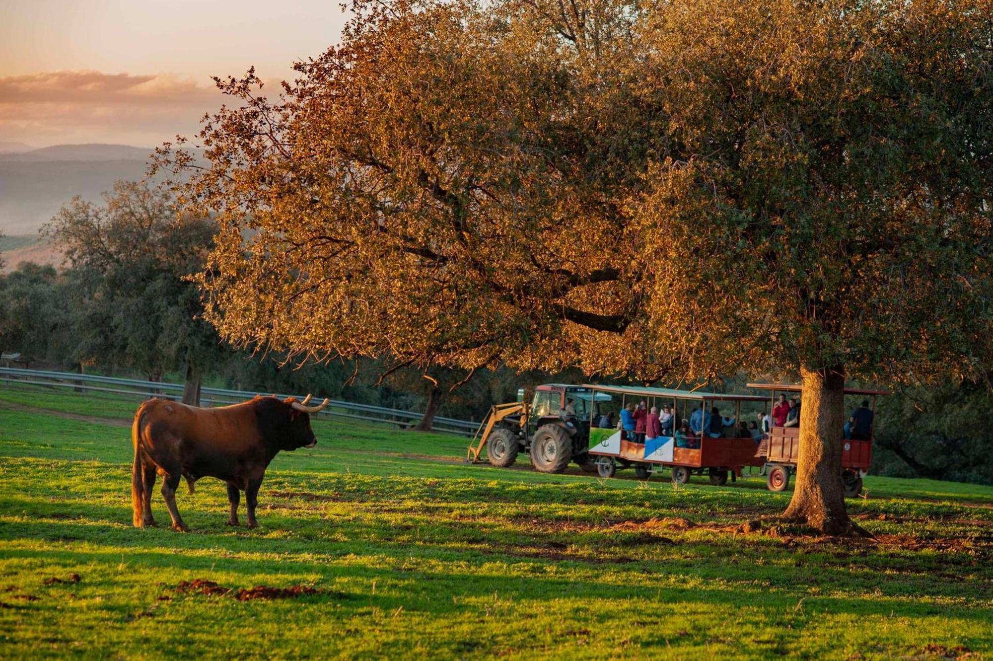 Finca El Cotillo Λινάρες Εξωτερικό φωτογραφία